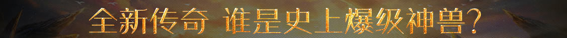 邁特網
